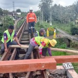 Begini Cara KAI Daop 9 Dukung Kelestarian Alam