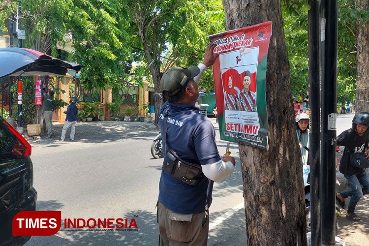 Sambut Adipura, Bawaslu dan Satpol PP Kota Probolinggo Bersihkan APK di Pohon