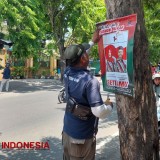 Sambut Adipura, Bawaslu dan Satpol PP Kota Probolinggo Bersihkan APK di Pohon