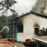 Rumah Pengolahan Tahu Tuna di Pacitan Ludes Dilalap Api