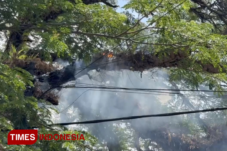 Pohon Keramat di Pemakaman Bondowoso Keluar Api dan Asap, Begini Pengakuan Warga