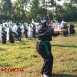 Atraksi Pagar Nusa hingga Aksi Bersih Lingkungan Meriahkan HSN 2024 di Malang