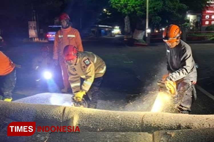 Pohon Tumbang Timpa Dua Pengendara Motor di Kota Batu