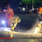 Pohon Tumbang Timpa Dua Pengendara Motor di Kota Batu