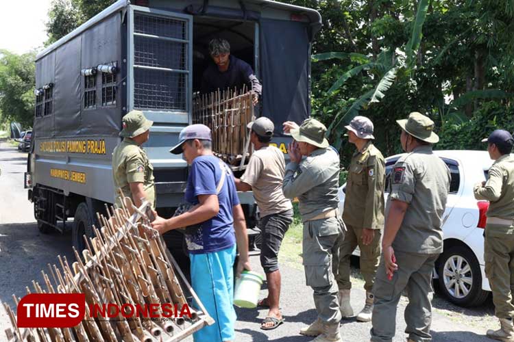 Satpol PP Jember Jaring Puluhan Gelandangan hingga Manusia Silver dalam Razia