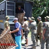 Satpol PP Jember Jaring Puluhan Gelandangan hingga Manusia Silver dalam Razia