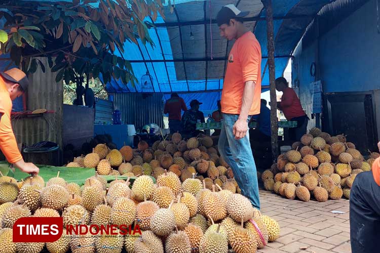 Petani Durian di Banyuwangi Diimbau Waspadai Cuaca Buruk