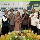 Milenial Agriculture Forum 2024 Dorong Peran Desa dan Lembaga Keuangan dalam Permodalan