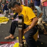 Uniknya Lomba Merajang Tembakau di Bondowoso