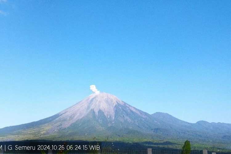 Gunung Semeru Erupsi Beruntun, Letusan hingga 600 Meter