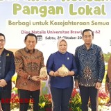 Dorong Konsumsi Pangan Lokal, UB Bagikan Bibit Lombok hingga Ubi untuk Urban Farming di Malang