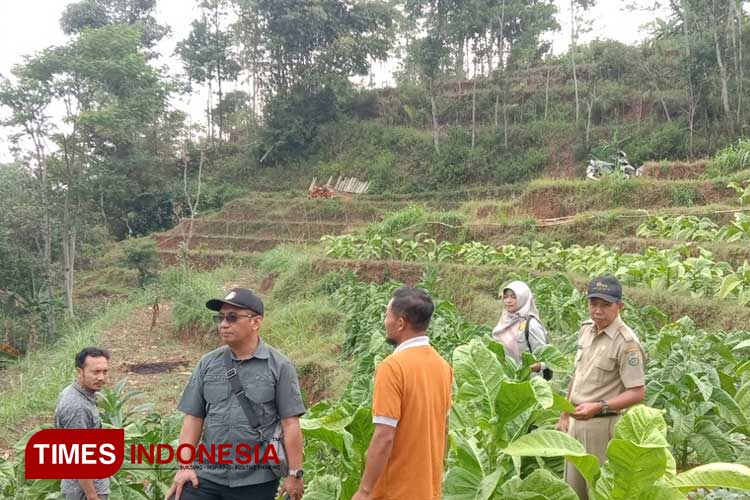 Dindaknaker Pacitan Manfaatkan DBHCHT dengan 25 Paket Pelatihan untuk Petani Tembakau