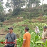 Dindaknaker Pacitan Manfaatkan DBHCHT dengan 25 Paket Pelatihan untuk Petani Tembakau