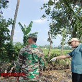 Peduli Lingkungan, Lintas Elemen di Kabupaten Malang Turun Bersihkan Sungai dari Sampah