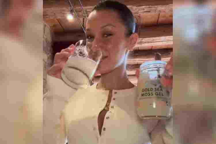 Sea Moss Gel: The Key to Bella Hadid’s Healthy Skin