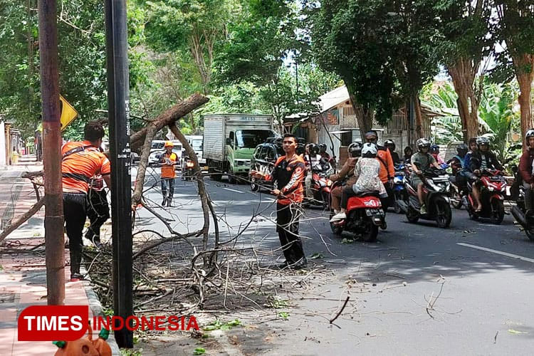 Cuaca Ekstrem Ancam Banyuwangi Saat Peralihan Musim, BPBD Imbau Warga Lakukan Ini