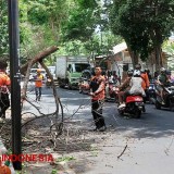 Cuaca Ekstrem Ancam Banyuwangi Saat Peralihan Musim, BPBD Imbau Warga Lakukan Ini