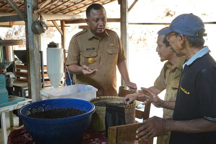 Pemkab Kediri Minta Petani Lereng Gunung Wilis Hasilkan Komoditas Kopi Berkualitas