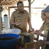 Pemkab Kediri Minta Petani Lereng Gunung Wilis Hasilkan Komoditas Kopi Berkualitas