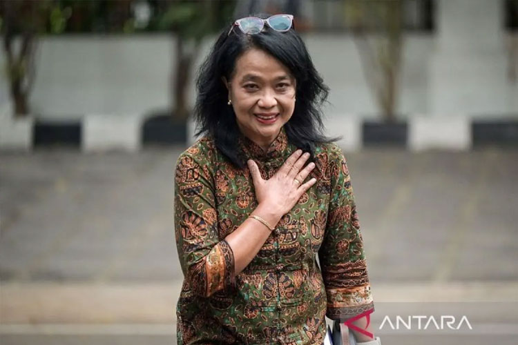 Profil Diana Kusumastuti, dari Dirjen Cipta Karya ke Wakil Menteri PU