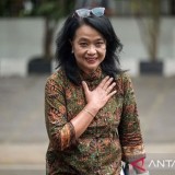 Profil Diana Kusumastuti, dari Dirjen Cipta Karya ke Wakil Menteri PU