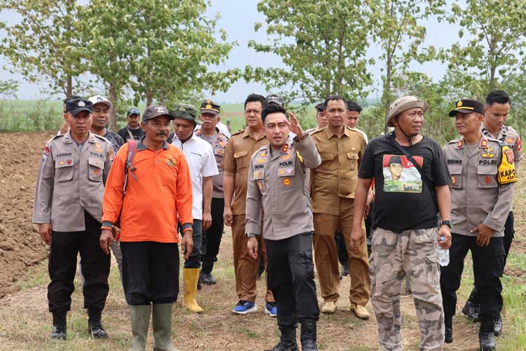 Lahan Tidur di Majalengka akan Dipakai untuk Program Ketahanan Pangan Nasional