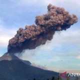 Langkah Cepat Pemerintah Tangani Dampak Erupsi Gunung Lewotobi