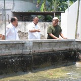 Pemkab Kediri Dorong Produsen Ikan Lele Selain Menjual Juga Mengolah Menjadi Menu Andalan Kabupaten Kediri