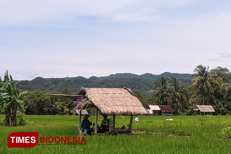 Pertumbuhan Ekonomi Kabupaten Pacitan Triwulan II 2024 Tercepat Kedua di Jawa Timur