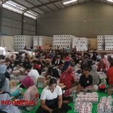 KPU Kabupaten Malang Tuntaskan Logistik Surat Suara Pilkada 2024