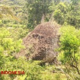 Cerita tentang Misteri Watu Kere, Batu Sakti di Pacitan