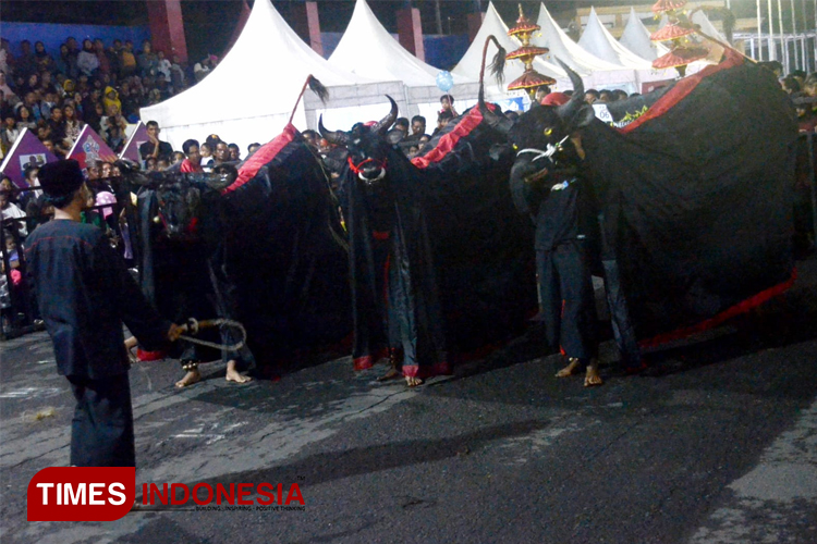 Gedruk Kanjuruhan, Tarian Atraktif Bantengan Malang Hibur Pengunjung Pasar Rakyat