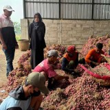 Ikfina-Gus Dulloh Bakal Bentuk BUMD Khusus untuk Kesejahteraan Petani Mojokerto