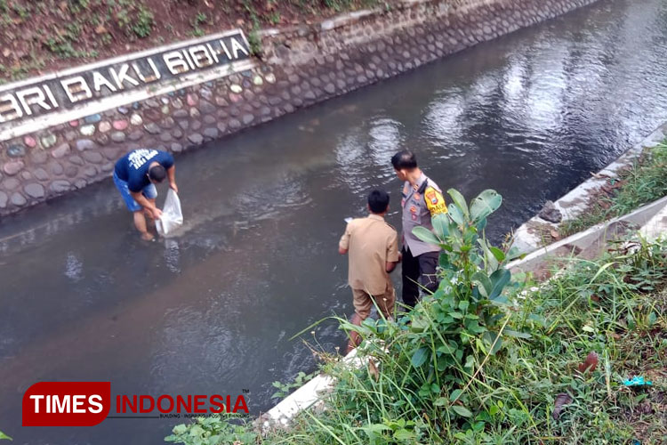 Tebar 10.000 Bibit Ikan untuk Dukung Swasembada Pangan Prabowo