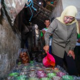 Sambangi Rumah Industri Gula Merah di Lumajang, Khofifah Siap Fasilitasi Replanting Kelapa Hibrida