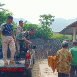 Polres Pacitan Pastikan Mayat yang Ditemukan di Sungai Lorok Bukan Korban Kekerasan