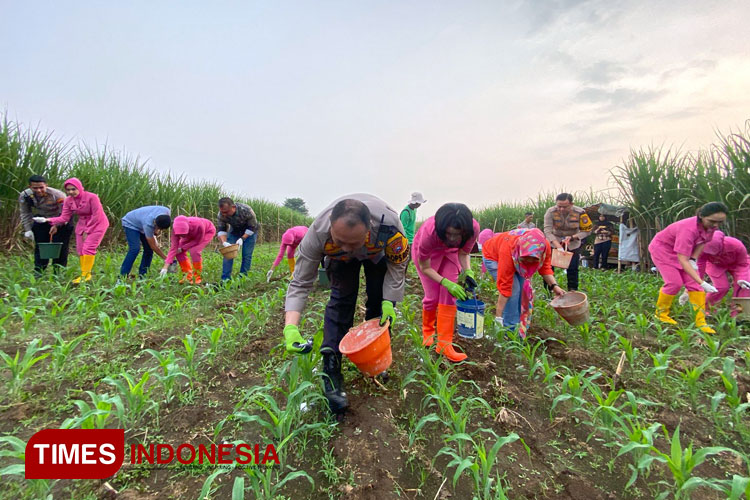 Komitmen Kuatkan Ketahanan Pangan, Kapolresta Malang Kota Ajak Ibu Bhayangkari Tanam Jagung