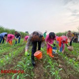 Komitmen Kuatkan Ketahanan Pangan, Kapolresta Malang Kota Ajak Ibu Bhayangkari Tanam Jagung