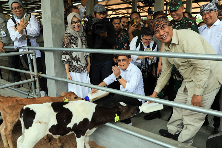 Pj Gubernur Adhy Usulkan Susu Masuk Komoditas Bahan Pokok Penting