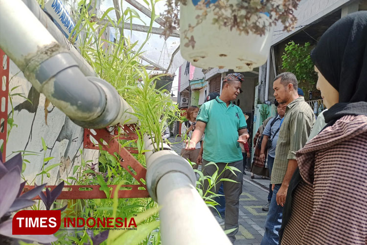 Kampoeng Oase Songo: Pemain Utama Urban Farming di Surabaya Semakin Jadi Rujukan Pegiat Lingkungan