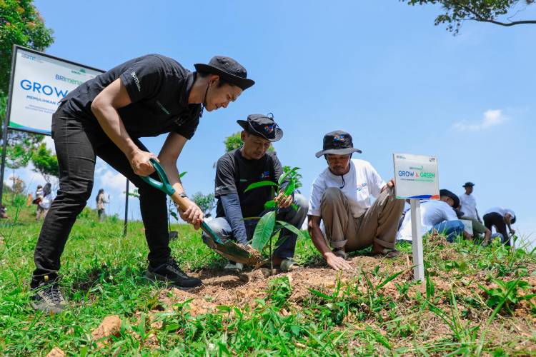 Kelompok Tani Pabangbon dan BRI Kolaborasi Pulihkan Hutan Bekas Tambang 