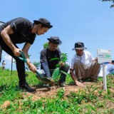 Kelompok Tani Pabangbon dan BRI Kolaborasi Pulihkan Hutan Bekas Tambang 