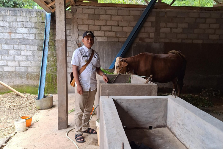 Lewat Program "Sate Sapi", Kades Inovatif Ini Ingin Wujudkan Ketahanan Pangan Kampung