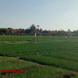 Antispasi harga Jual Anjlok, Petani Berambang di Kabupaten Bantul Kembangan Penamaan Off Season