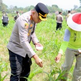 Polresta Banyuwangi Gelorakan Asta Cita Swasembada Pangan