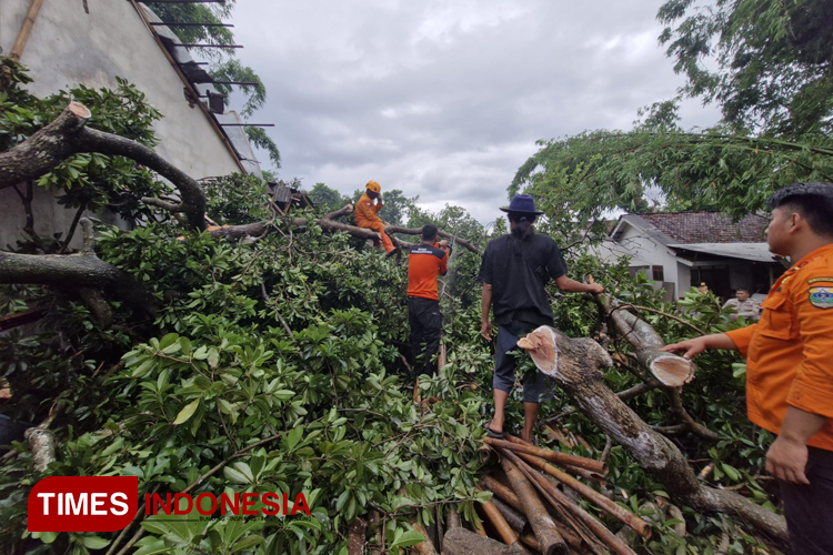 13 Rumah di Bondowoso Rusak Akibat Puting Kencang