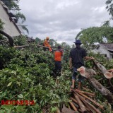 13 Rumah di Bondowoso Rusak Akibat Puting Kencang