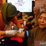 Penderita Diabetes Tipe 2 Usia Muda Berisiko Terkena Dimensia