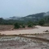 Banjir Bandang Terjang Sumatera Barat, Satu Tewas, Ribuan Warga Terdampak