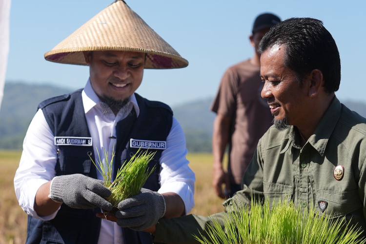 Andi Sudirman Sulaiman Prioritaskan Infrastruktur untuk Kemajuan Daerah